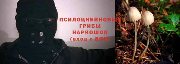 прущие грибы Яровое