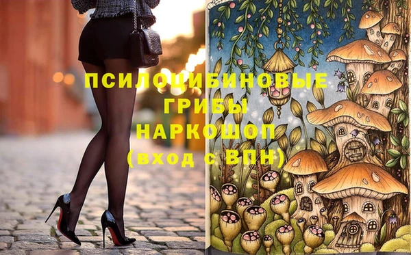 ГАЛЛЮЦИНОГЕННЫЕ ГРИБЫ Яранск