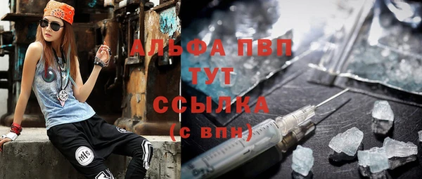 прущие грибы Яровое