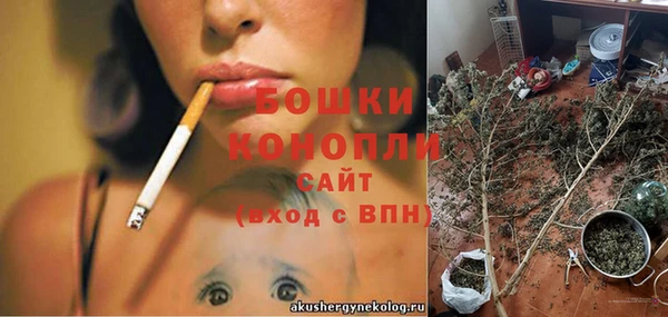прущие грибы Яровое