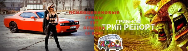 тгк Хадыженск