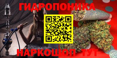 гашик Донецк