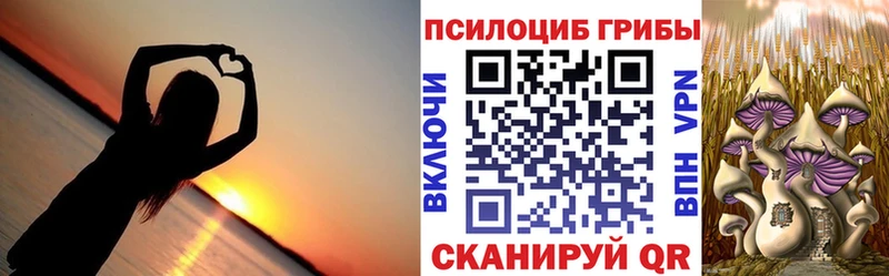 Псилоцибиновые грибы MAGIC MUSHROOMS  Калуга 