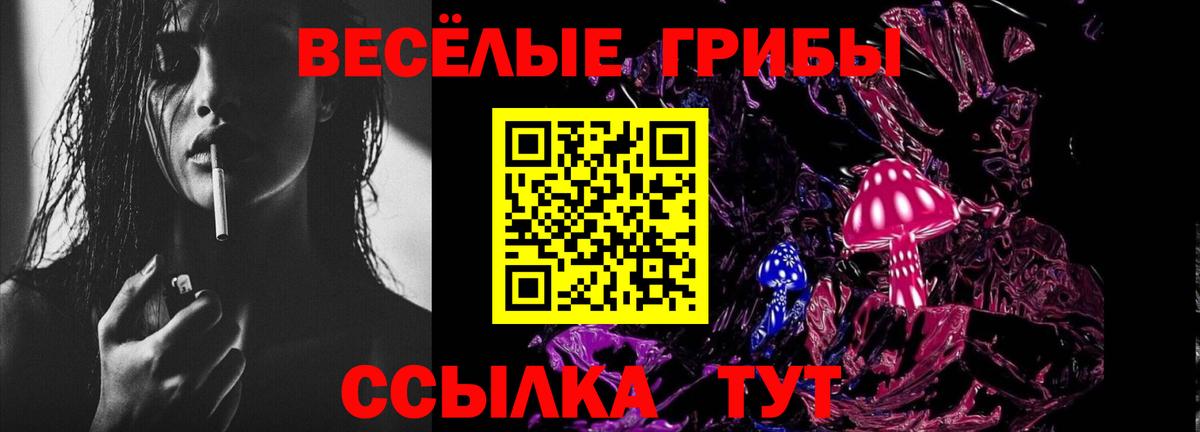 Псилоцибиновые грибы GOLDEN TEACHER Калуга