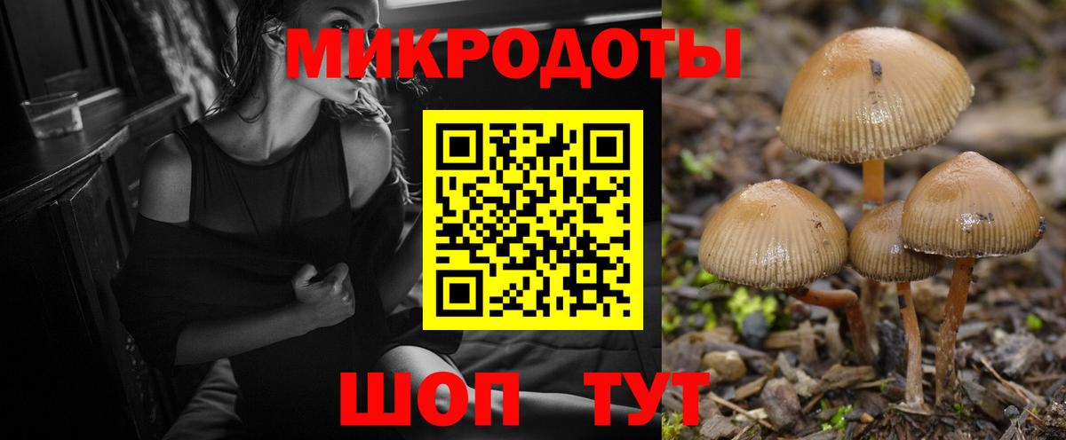 Псилоцибиновые грибы прущие грибы  Вход с VPN  Галлюциногенные грибы мицелий  Калуга 